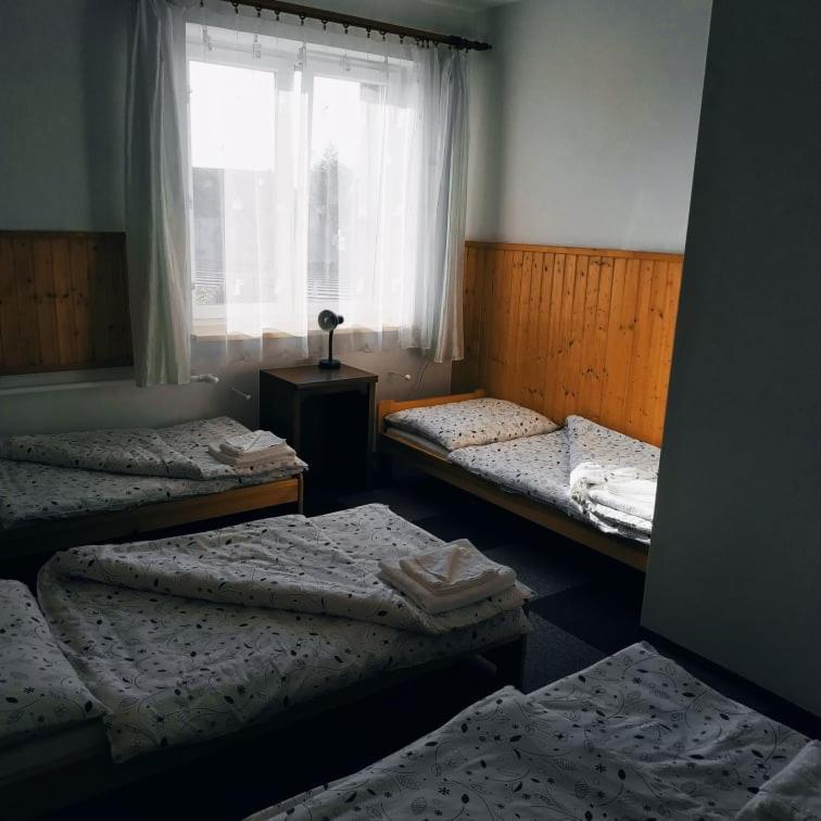Penzion Vysocina Skrdlovice المظهر الخارجي الصورة